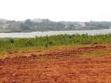 A picture of 45m Plots on sale located at nkumba lake view on
