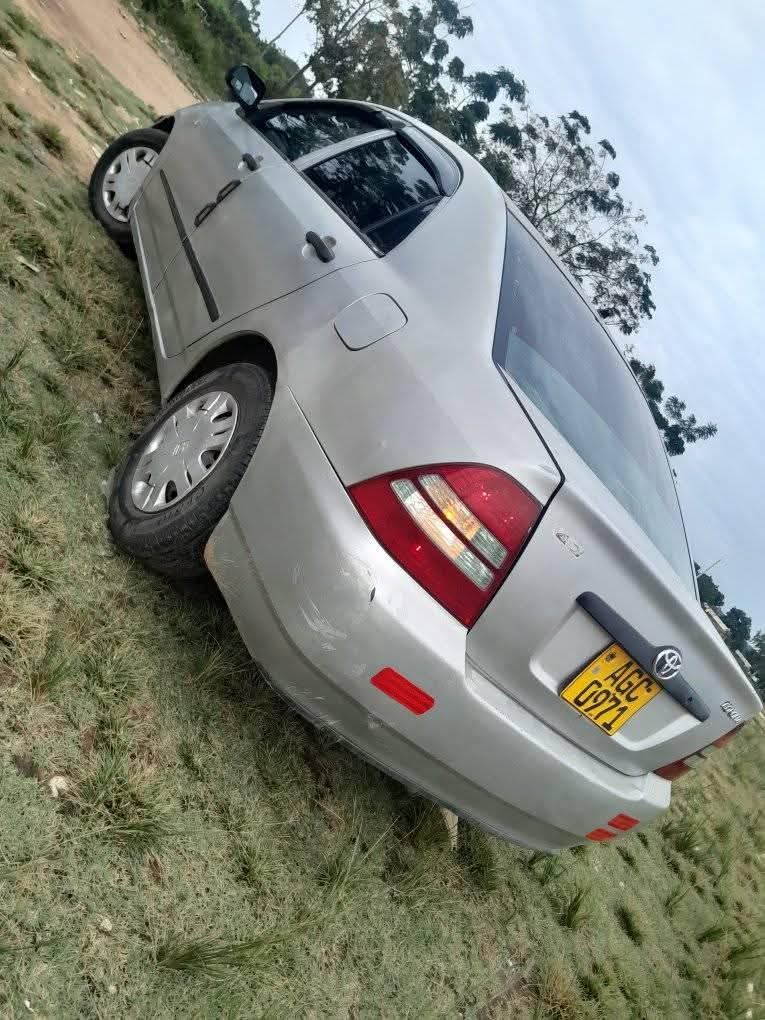 toyota corolla bubble