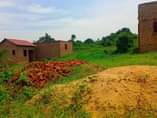 A picture of PLOT ON QUICK SALE Located matugga kiwebwa manze Size 25x50ft