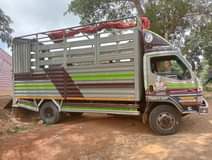A picture of Canter badooo ipoo