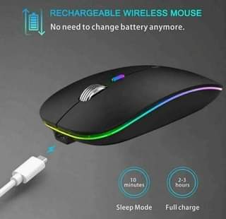 A picture of Mouse