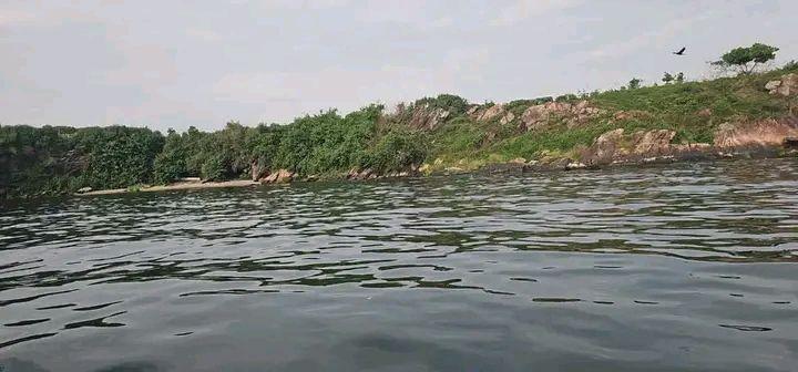 plots mukono