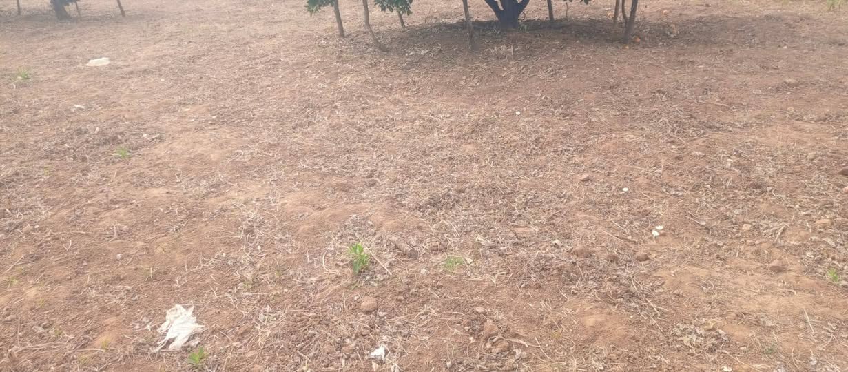 agricultural
