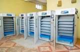 A picture of EGG INCUBATORS