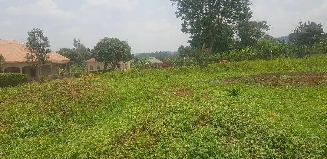 A picture of Gayaza kiwenda plots