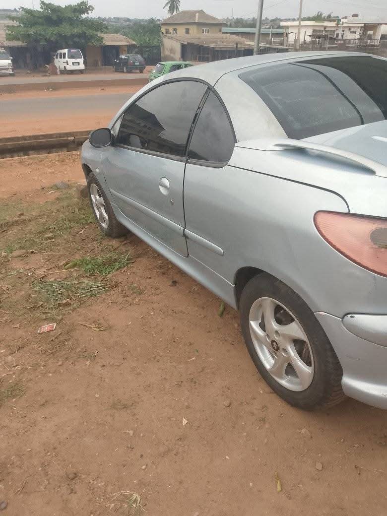 A picture of Peugeot 206