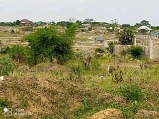 Barimah K.