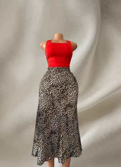 A picture of Two piece skirt and top