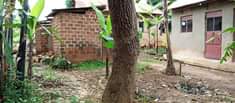 A picture of A house on sale at 39m with boys quarters seated
