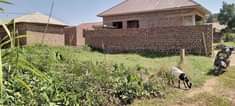 A picture of 50 45feet Along kajjansi Munyonyo bypass