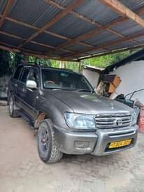 A picture of vx