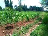 A picture of WE SALE STARTING FROM 1 ACRE EACH ACRE IS FOR