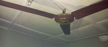 A picture of 60 inches Original ORL Ceiling fan