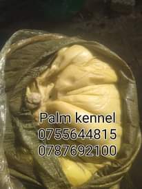 A picture of Palm kernel