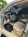 A picture of Prado 2014