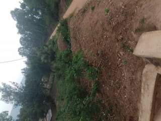 kinyinya accommodation