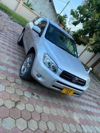 A picture of RAV4 MISS TZ