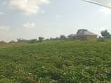 A picture of New site located at matugga gombe 1 7km off main