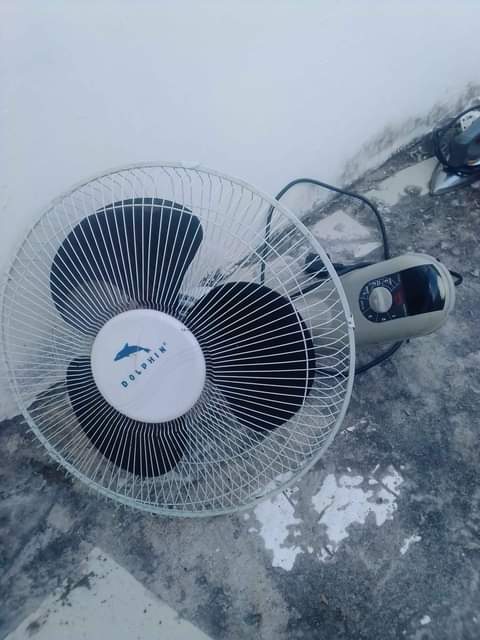 fans