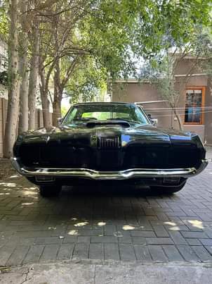 Classic,Muscle A.