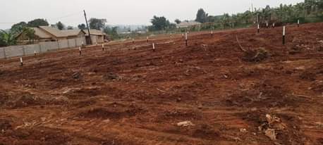 A picture of 30ft X 50ft Town Estate Plots Suitable for Rentals Residential