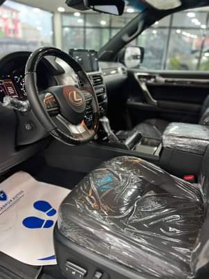A picture of 2023 GX460 Premium