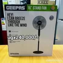 A picture of fans