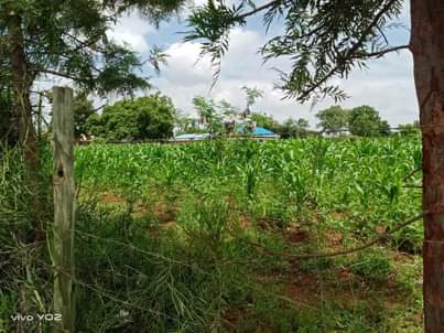 makutano plots