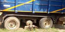 A picture of 2008 Trela Tipping trailer