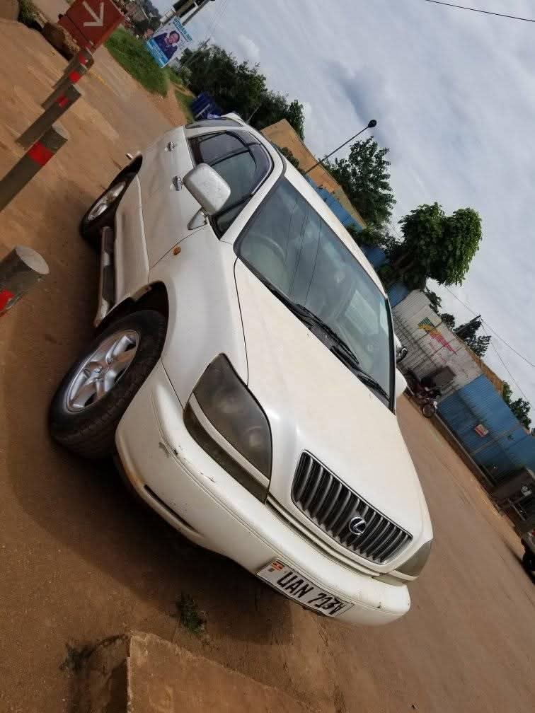 A picture of Harrier