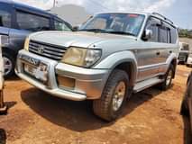 A picture of Landcruiser Prado TX 35m