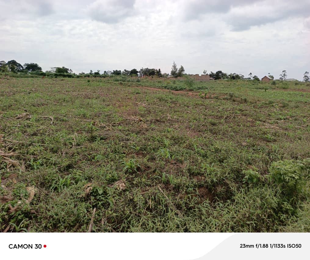 A picture of Land with a ready private Milo land title