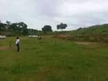 A picture of Plot on quick sale at Kigo munyonyo