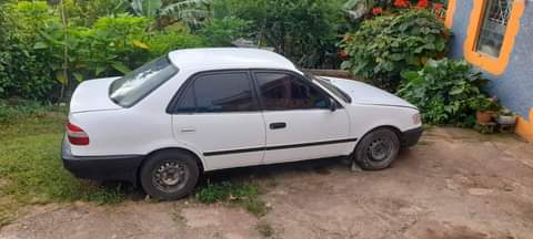 rolling shell