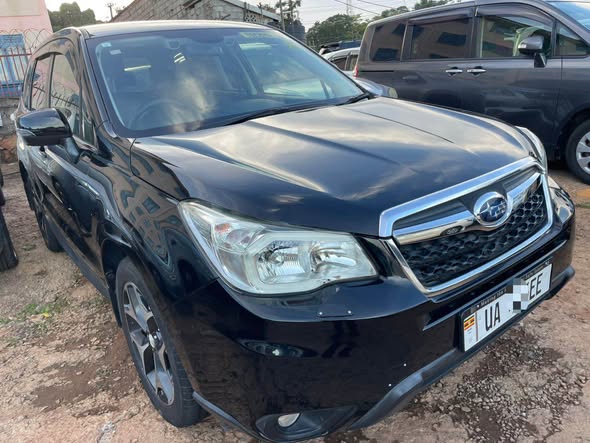 A picture of Forester 2015 At 55m