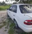 A picture of corolla