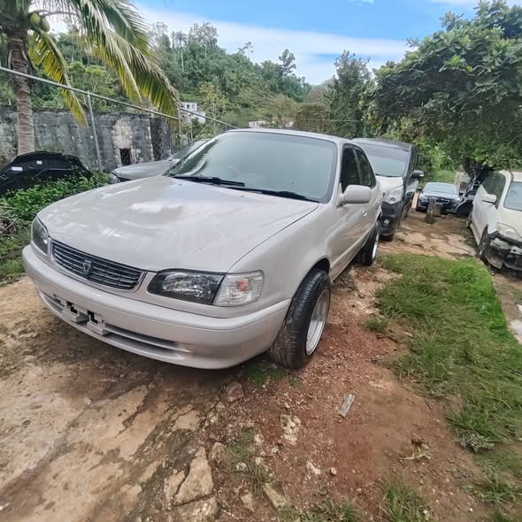 2000 cars
