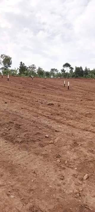 A picture of 50ft X 50ft Residential Plots available on Sale in a