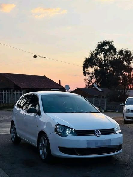 polo vivo