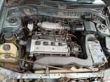 A picture of Starlet
