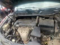 A picture of Camry spider