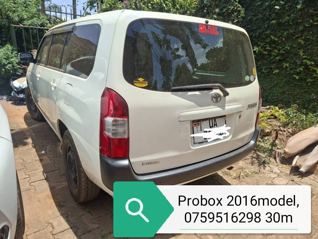 A picture of Probox 2016model 0759516298