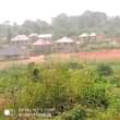 A picture of New site is open located at located at mperelwe Buwambo