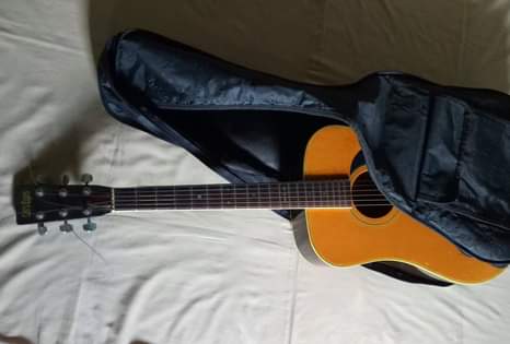 guitar