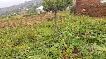 A picture of Ikibanza kigurishwa wagabanyamo bibiri