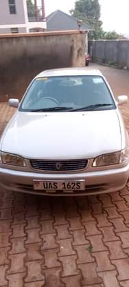 A picture of 13milions 0751886017