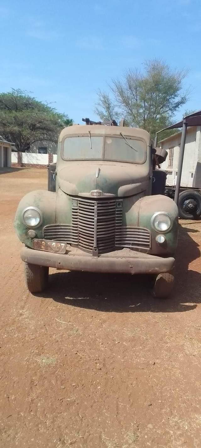 Classic,Muscle A.