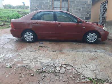 Luyanda S.