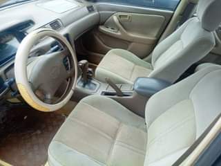 A picture of camry fish light