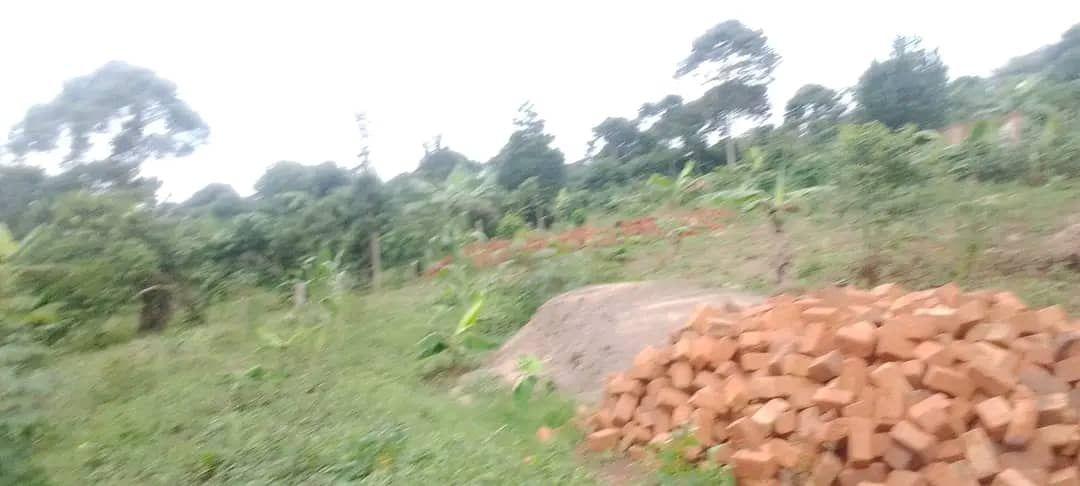 A picture of CHEEPP PLOTS FOR SALE BOMBO KIYANA KAKUTE NDEJJE ROAD 20